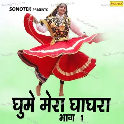 Daman Ki Lagi - Meenakshi Panchal album cover 