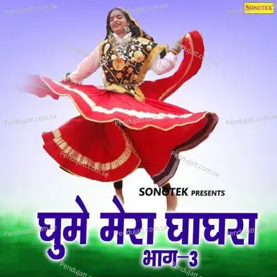 Saran Day Naai Ki - Minakshi Panchal album cover 