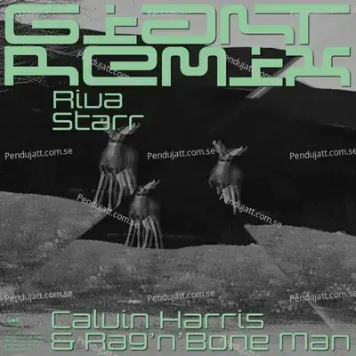 Mufasa  The Lion King  Hindi Original Motion Picture Soundtrack 