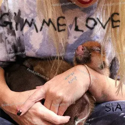 Gimme Love - Sia album cover 