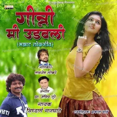 Ginni Mi Udawali - Siddharth Gajghate album cover 