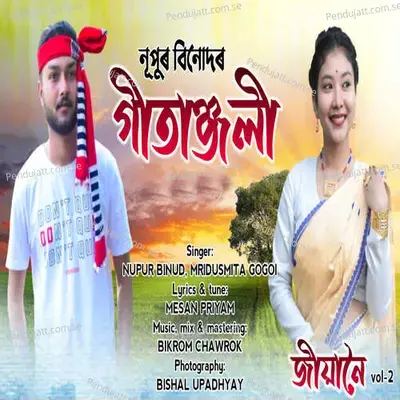 Gitanjali - Nupur Binud album cover 