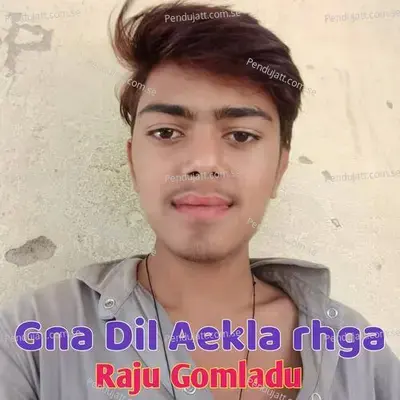 Gna Dil Akela Rhga - RAJU GOMLADU album cover 