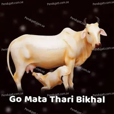 Go Mata Thari Bikhal - Narayan Kumawat album cover 
