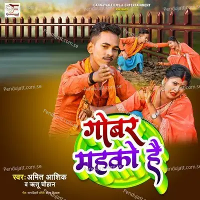 Gobar Mahako Hai - Amit Ashik album cover 