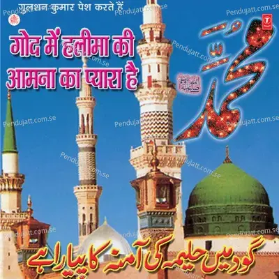 God Mein Halim Ki Aamna Ka Pyara Hai - Haji Tasleem Aarif album cover 