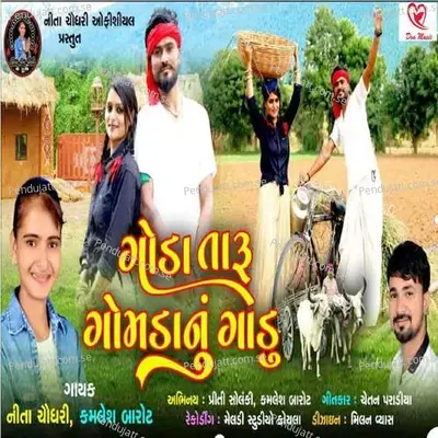 Goda Taru Gomdanu Gadu - Nita Chaudhari album cover 