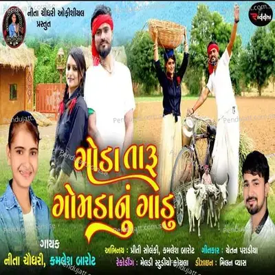 Goda Taru Gomdanu Gadu - Nita Choudhary album cover 
