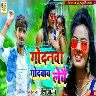 Godanaba Godabay Lebe - Nitish Aryan album cover 