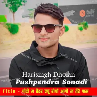 Godi M Baitar Kyu Royo Aagi L Tere Paas - Pushpendra Sondai album cover 