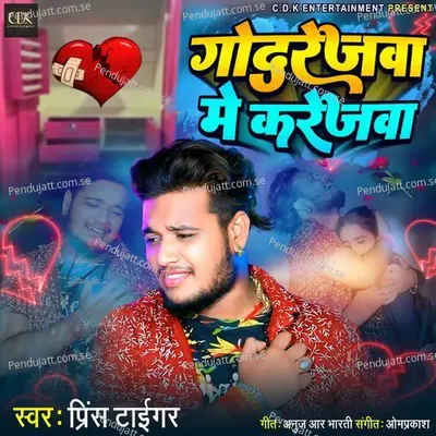 Godrejwa Me Karejwa - Prince Tiger album cover 