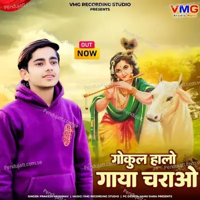 Gokul Halo Ne Gayo Charavo Murli Ki Dhun Sunao Bhajan - Rakesh Vaishnav album cover 