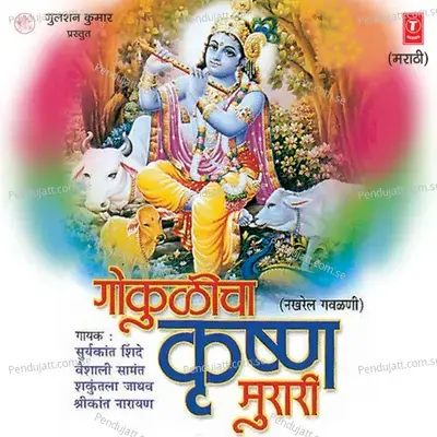 Radhe Tujha Kon Kanha - Suryakant Shinde album cover 