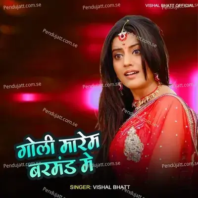 Goli Marem Barmand Me - Vishal Bhatt album cover 