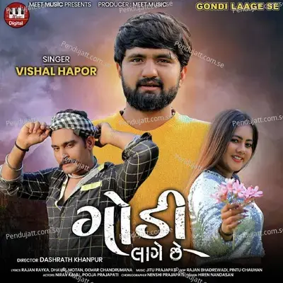 Gondi Laage Se - Vishal Hapor album cover 