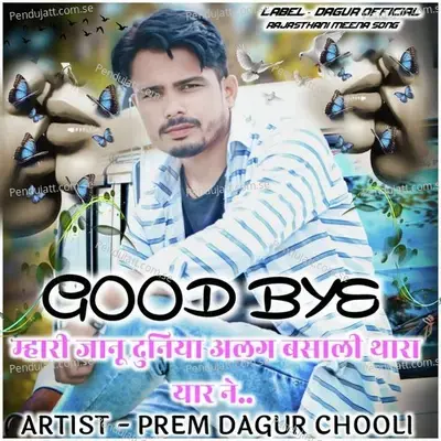 Good Bye Mahari Janu - PREM DAGUR CHOOLI album cover 