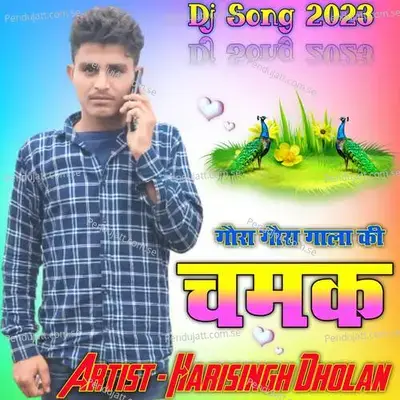 Gora Gora Gala Ki Chamk - Harisingh dholan album cover 