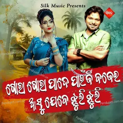 Gora Gora Pade Paunji Bjei Asu Jebe Jhuli Jhuli - Babul Supriyo album cover 