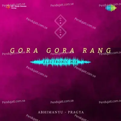 Gora Gora Rang Electronic Mix - Amar Singh Chamkila album cover 