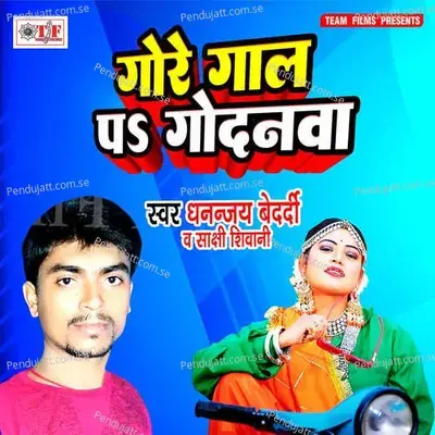 Balai Lago Nokari Me - Dhananjay Bedardi album cover 