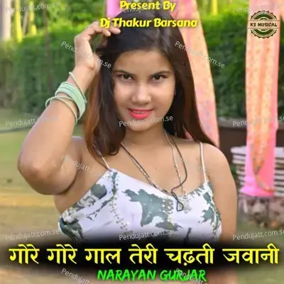 Gore Gore Gaal Teri Chadhti Jawani - Narayan Gurjar album cover 