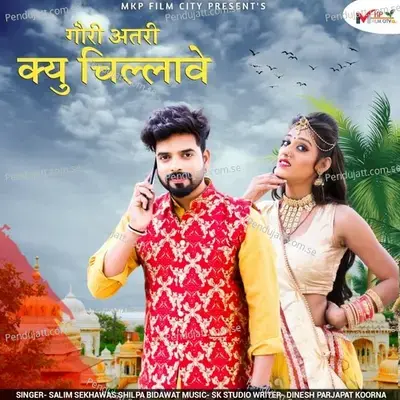 Gori Atri Kyo Chillaway - Salim Shekhawas album cover 