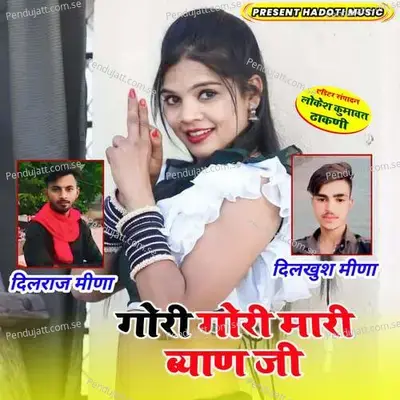 Gori Gori Mari Byan Ji - Dilraj Meena album cover 