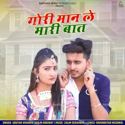 Gori Maan Le Mari Baat - Goutam Vaishnav album cover 