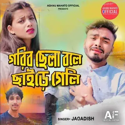 Gorib Chela Bole Chare Geli - Jagadish album cover 