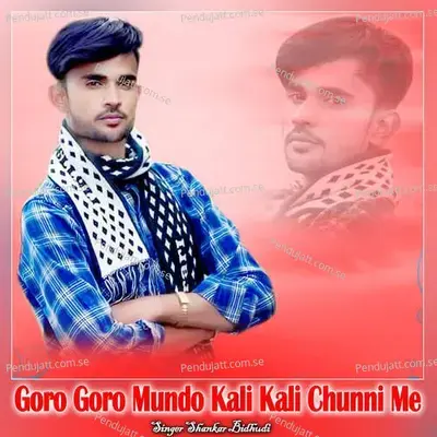Goro Goro Mundo Kali Kali Chunni Me - Shankar Bidhudi album cover 