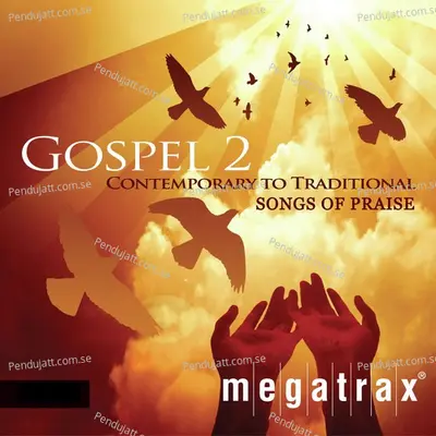 Gospel  Contemporary To Traditional Songs Of Praise - Sunshine Gospel Singers cover album