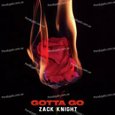 Gotta Go - Zack Knight album cover 