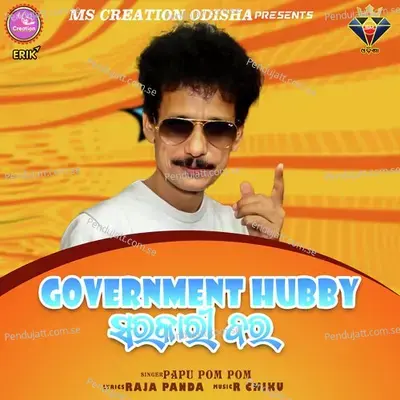 Government Hubby - Papu Pom Pom album cover 