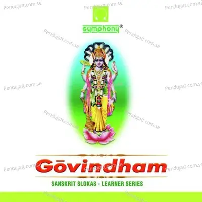 Om Namo Narayana Chants - Rajkumar Bharathi album cover 
