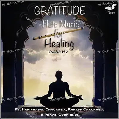 Gratitude - Flute Music For Healing At 432 Hz - Pandit Hariprasad Chaurasia cover album