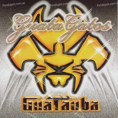 Guata Cats - Don Chezina album cover 