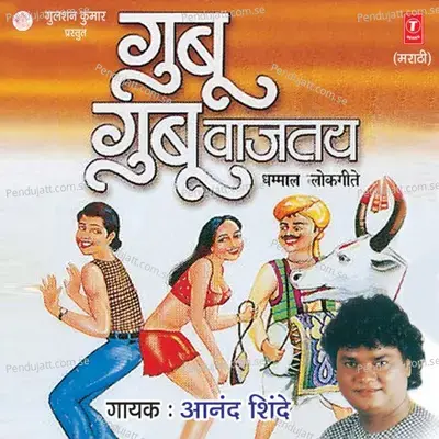 Mala Pahije Fakt Bayaku - Anand Shinde album cover 