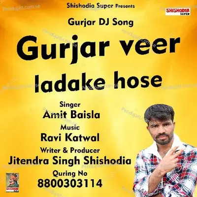 Gujjar Veer Ladake Hose - Amit Baisla album cover 