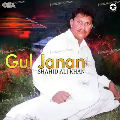 Gul Janan - Shahid Ali Khan cover album