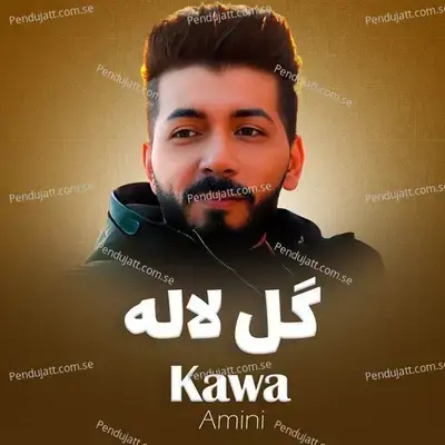 Laila Laila - Kawa Amini album cover 