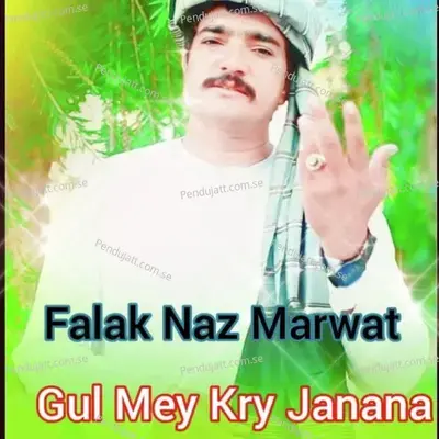 Gul Mey Kry Janana - Falak Naz Marwat album cover 