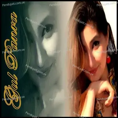 Da Wisal Tabiba Rasha - Gul Panra album cover 