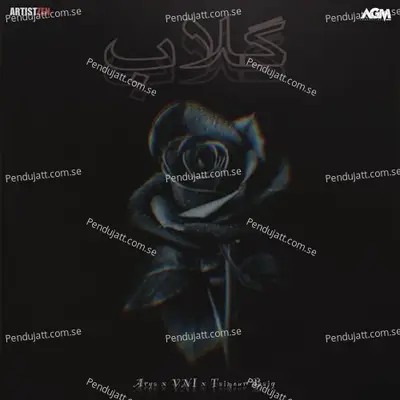 Gulaab - Arya album cover 