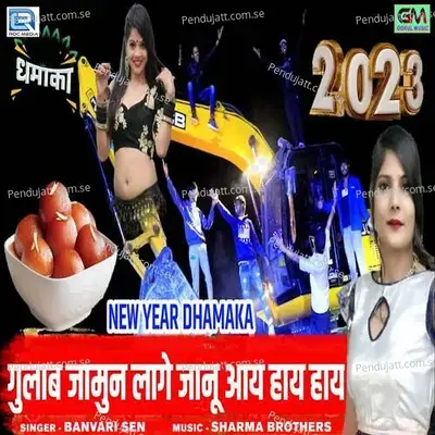 Gulab Jamun Lage Janu Aai Hai Hai - Banvari Sen album cover 