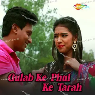 Gulab Ke Phul Ke Tarah - Vinod Sharma album cover 