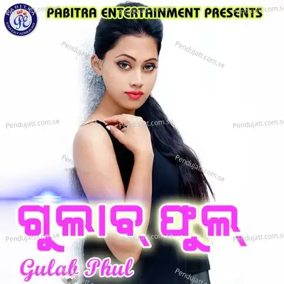 Gulab Phula - Various Artists cover album