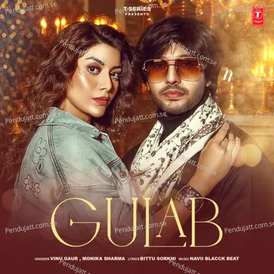 Gulab - Vinu Gaur album cover 