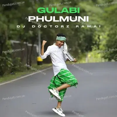 Gulabi Phulmuni - Dj Doctorz Ramai album cover 