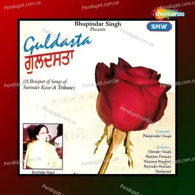 Vasta I Mera - Jitender Singh album cover 