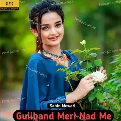 Guliband Meri Nad Me - Sahin Mewati album cover 